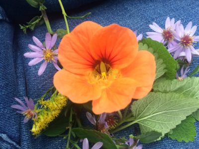 JWwildflower copy